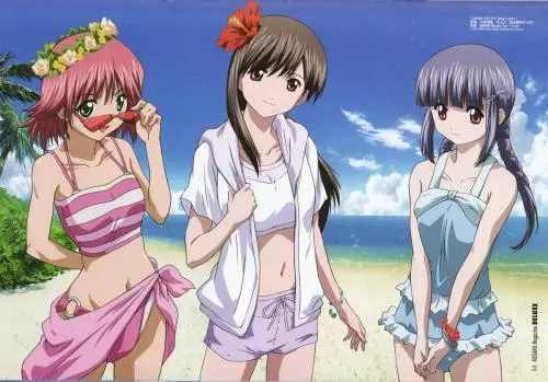 我老婆是美少女游戏主角 《心跳回忆》历代记-图片27