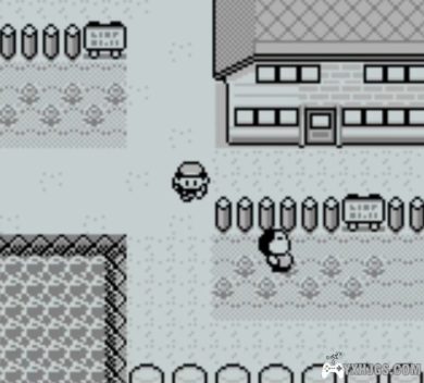 GB口袋妖怪红[简体]|附VC-2022.9.29发布-图片3