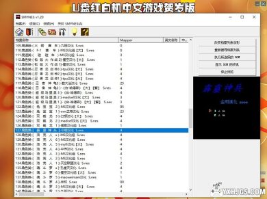 U盘红白机中文游戏|2023贺岁版-图片3