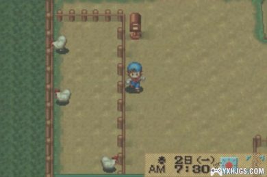 GBA牧场物语：矿石镇的伙伴们[男孩&女孩最终修正版]|附CIA+攻略-2025.1.3更新-图片9