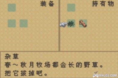 GBA牧场物语：矿石镇的伙伴们[男孩&女孩最终修正版]|附CIA+攻略-2025.1.3更新-图片11