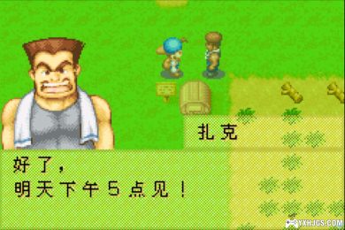 GBA牧场物语：矿石镇的伙伴们[男孩&女孩最终修正版]|附CIA+攻略-2025.1.3更新-图片2