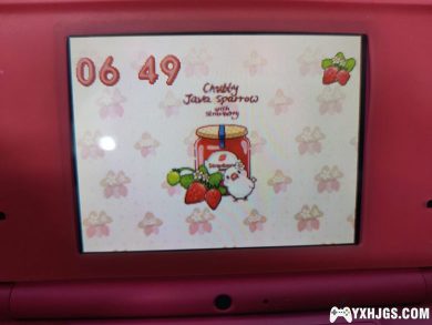 DSTWO&R4银烧录卡皮肤：草莓文鸟-图片4