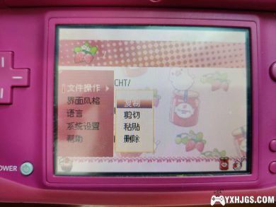 DSTWO&R4银烧录卡皮肤：草莓文鸟-图片5