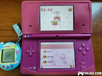 DSTWO&R4银烧录卡皮肤：草莓文鸟-图片9