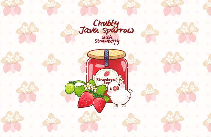 DSTWO&R4银烧录卡皮肤：草莓文鸟-图片1