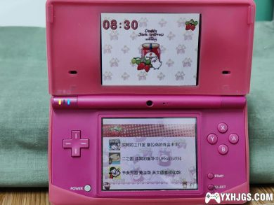 DSTWO&R4银烧录卡皮肤：草莓文鸟-图片3