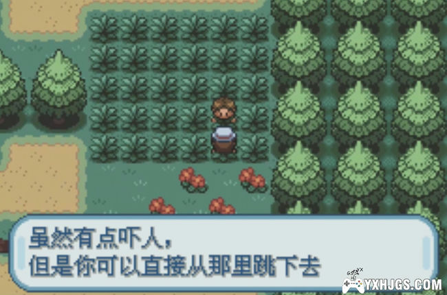 GBA精灵宝可梦：火红[2023官译版]|附CIA+DP补丁-2023.4.9发布-图片2