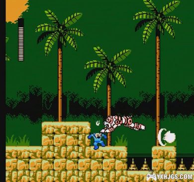 FC洛克人5：布鲁斯的阴谋[NOKOH汉化版]｜附秘籍金手指+CIA格式-2023.9.5更新-图片8