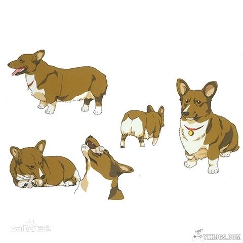 星际牛仔(カウボーイビバップ)-图片7