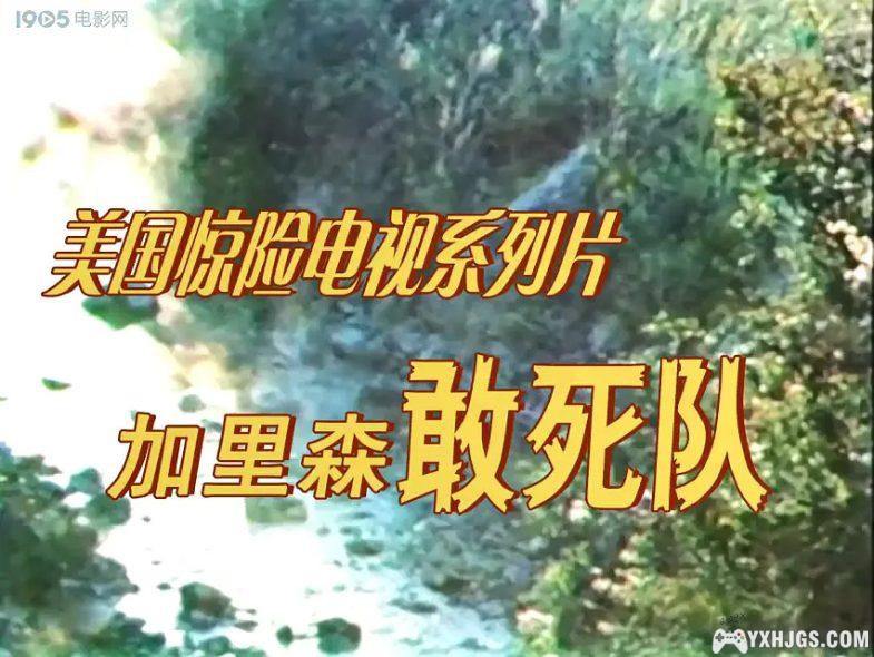 电视剧:加里森敢死队26集|央视高清修复版-图片2