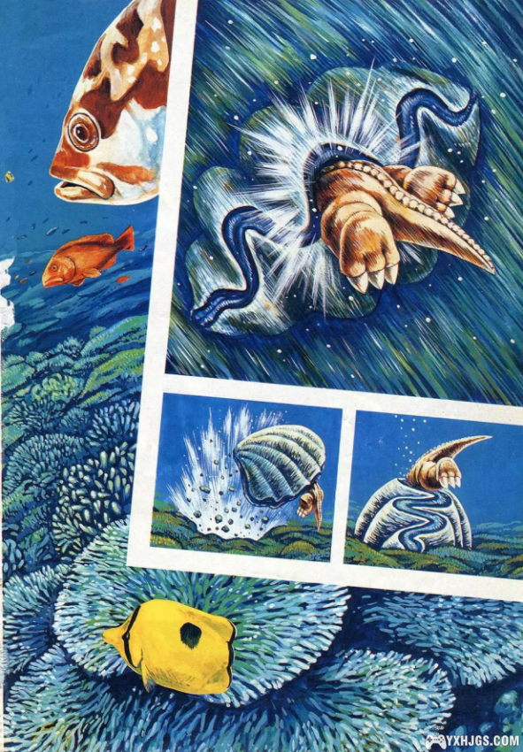 露加的漫画分享：《小恐龙阿贡》1-7+精选集-图片3