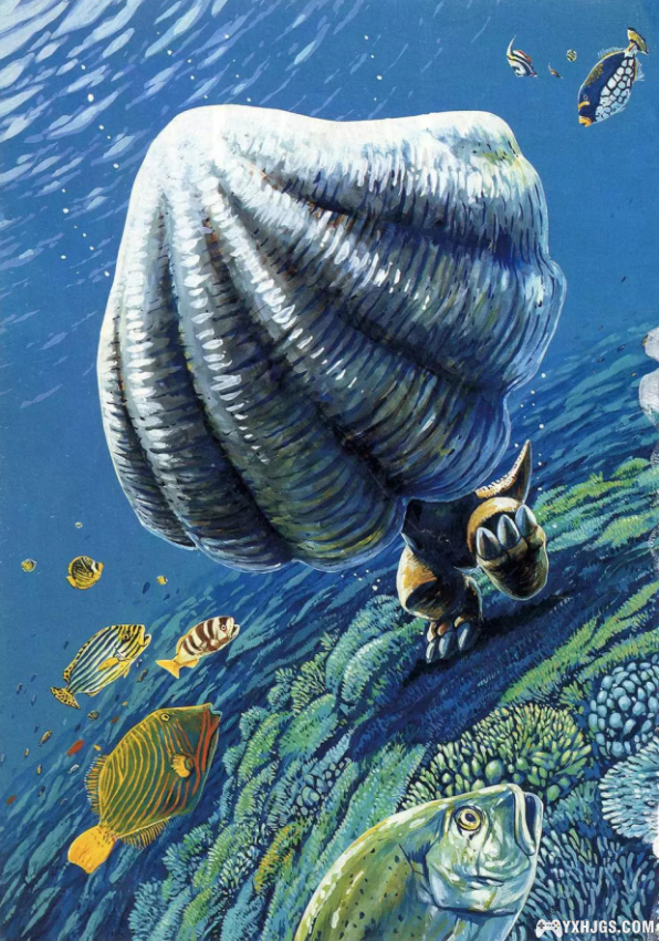 露加的漫画分享：《小恐龙阿贡》1-7+精选集-图片4