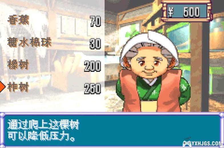 GBA饲养物语2：我的锹形虫[1.0汉化]|附CIA-2024.2.10发布-图片6