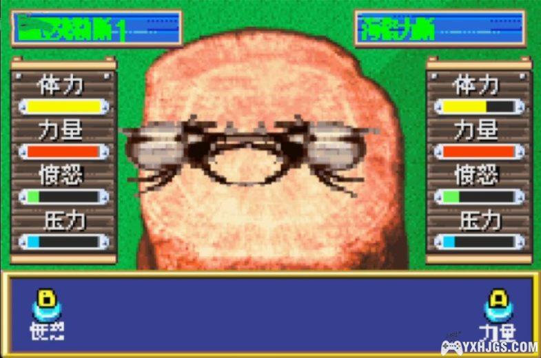 GBA饲养物语1-我的兜虫[1.0汉化]|附CIA-2024.2.19发布-图片4