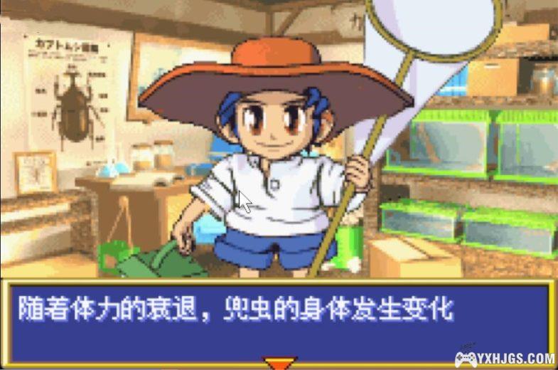 GBA饲养物语1-我的兜虫[1.0汉化]|附CIA-2024.2.19发布-图片5