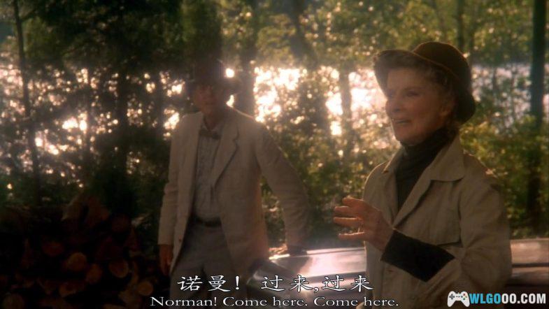 电影:金色池塘 1981正大剧场国语配音|父女的和解,奥斯卡获奖影片-图片2