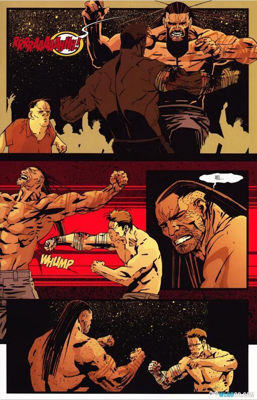 漫画 月光骑士系列|多重身份的黑暗守护者-图片6