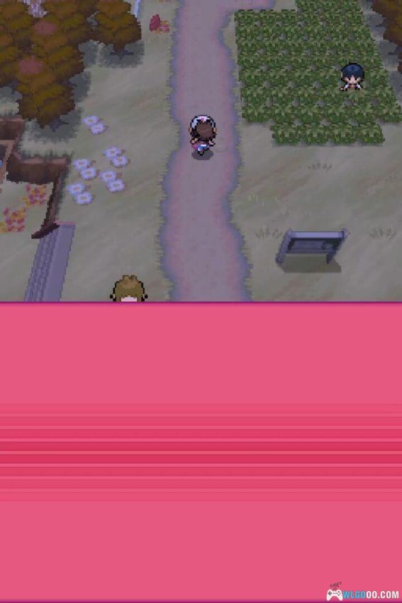 NDS精灵宝可梦 黑/白[2.15官译汉化最终版]｜附全攻略+金手指-2025.9.25更新-图片16