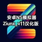 【更新】安卓NS模拟器Ziunx_v11中文版