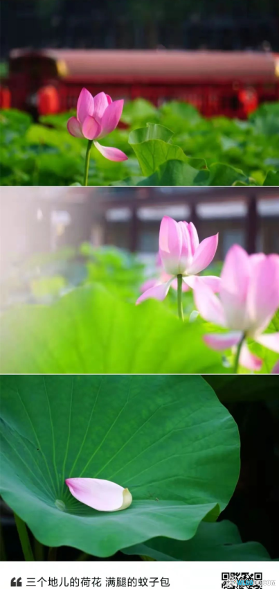 这本连环画的创意竟然比电影《侏罗纪公园》还要早个17年-图片8