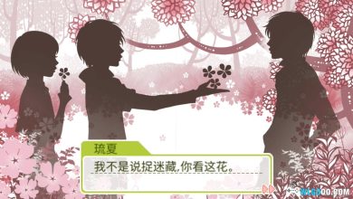 PSP心跳回忆女生版GS3：第三段故事[汉化1.0.4]｜附全角色攻略+模拟器-2024.8.2发布-图片5