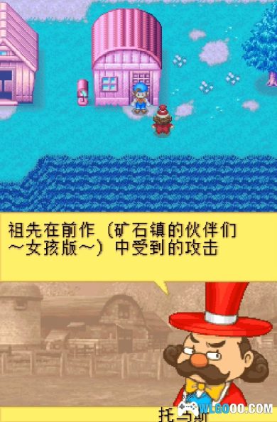 NDS牧场物语：精灵电台[完美汉化1.1]｜附完整全攻略+模拟器-2024.8.11更新-图片6