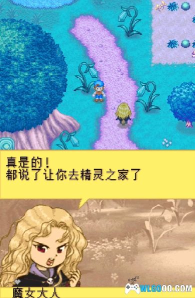 NDS牧场物语：精灵电台[完美汉化1.1]｜附完整全攻略+模拟器-2024.8.11更新-图片8