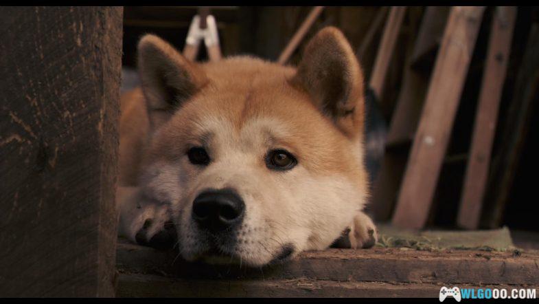 电影 忠犬八公的故事[英语中字]1080P｜上个世纪30年代发生在日本的真实故事改编-图片7