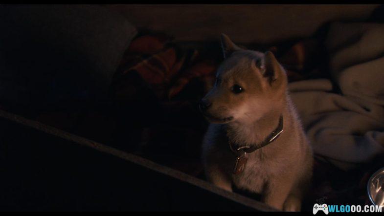 电影 忠犬八公的故事[英语中字]1080P｜上个世纪30年代发生在日本的真实故事改编-图片3