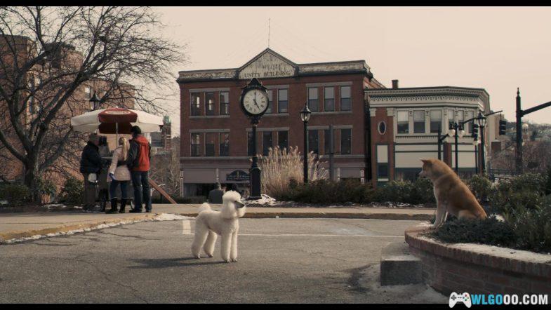 电影 忠犬八公的故事[英语中字]1080P｜上个世纪30年代发生在日本的真实故事改编-图片8