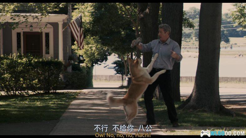 电影 忠犬八公的故事[英语中字]1080P｜上个世纪30年代发生在日本的真实故事改编-图片6