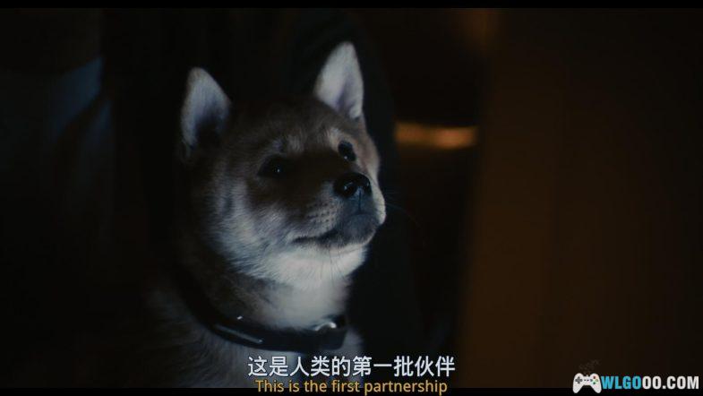 电影 忠犬八公的故事[英语中字]1080P｜上个世纪30年代发生在日本的真实故事改编-图片5