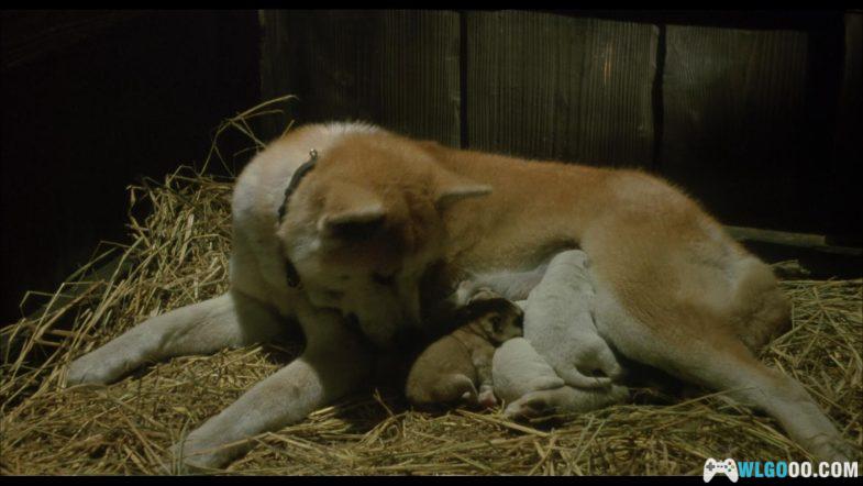 电影 忠犬八公物语[国日多音轨+中文字幕]1080P｜真实事件忠犬八公原版-图片2