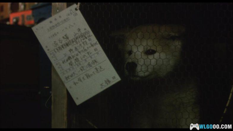 电影 忠犬八公物语[国日多音轨+中文字幕]1080P｜真实事件忠犬八公原版-图片3