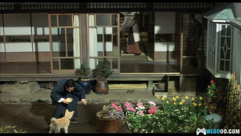 电影 忠犬八公物语[国日多音轨+中文字幕]1080P｜真实事件忠犬八公原版-图片5