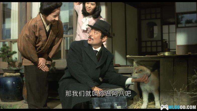 电影 忠犬八公物语[国日多音轨+中文字幕]1080P｜真实事件忠犬八公原版-图片4