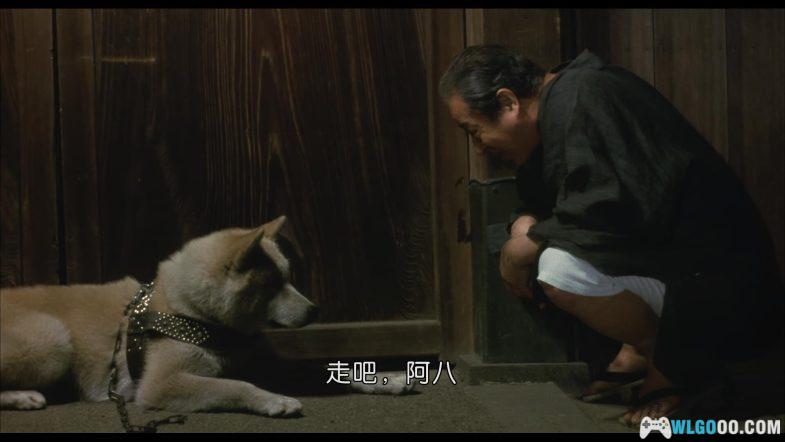 电影 忠犬八公物语[国日多音轨+中文字幕]1080P｜真实事件忠犬八公原版-图片9