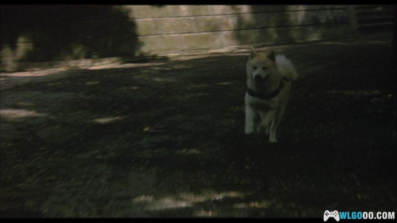 电影 忠犬八公物语[国日多音轨+中文字幕]1080P｜真实事件忠犬八公原版-图片7