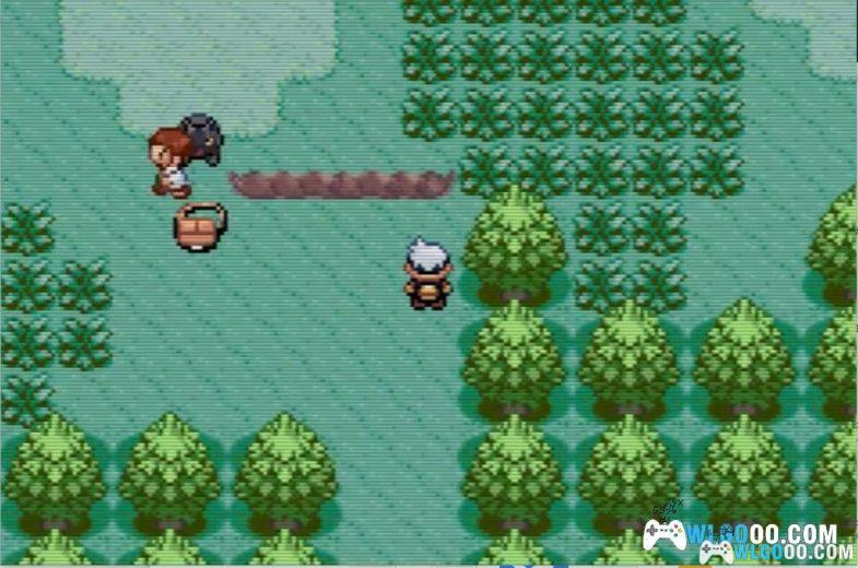 GBA精灵宝可梦：蓝宝石/红宝石[官译微汉化]｜附捕获表攻略＋金手指＋CIA格式-2024.9.15发布-图片14