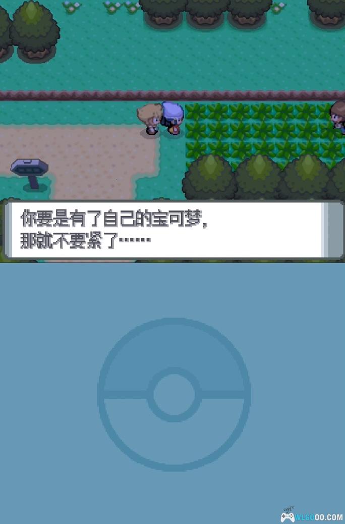 NDS精灵宝可梦：白金&心金&魂银&珍珠&钻石[官译2.1.1]｜附PKHeX-2025.8.25更新-图片13