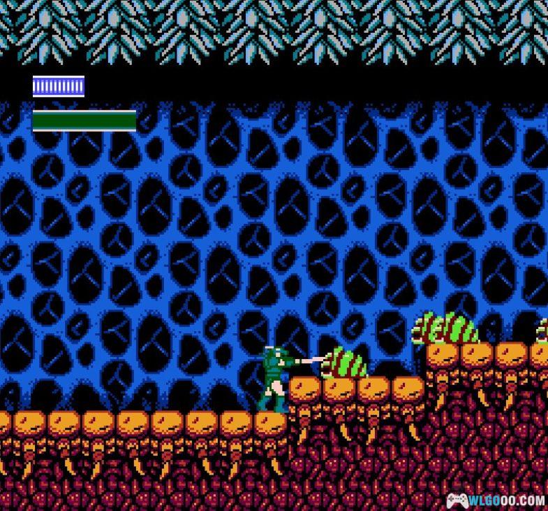 FC龙战士[日美大字体+标题汉化]｜附攻略秘籍+CIA格式-2024.10.16发布-图片9