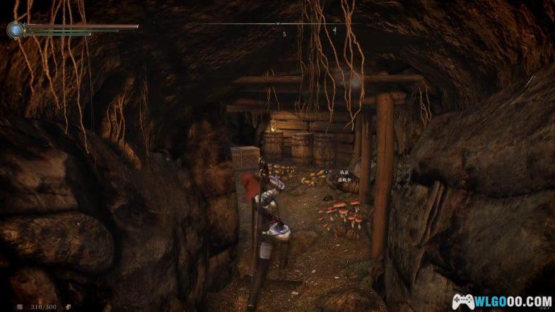 PC上古卷轴5 绝伦少年整合包V5+X5分享-图片4