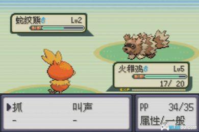 GBA精灵宝可梦：绿宝石[官译汉化版]｜附图文攻略+3DS格式+模拟器-2024.11.18更新-图片125