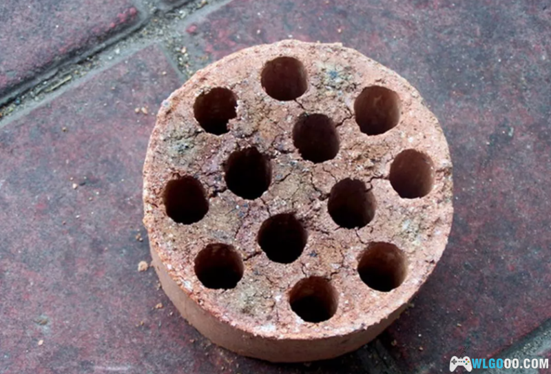 小时候的冬天,冬储的不光是大白菜,还有,蜂窝煤-图片4