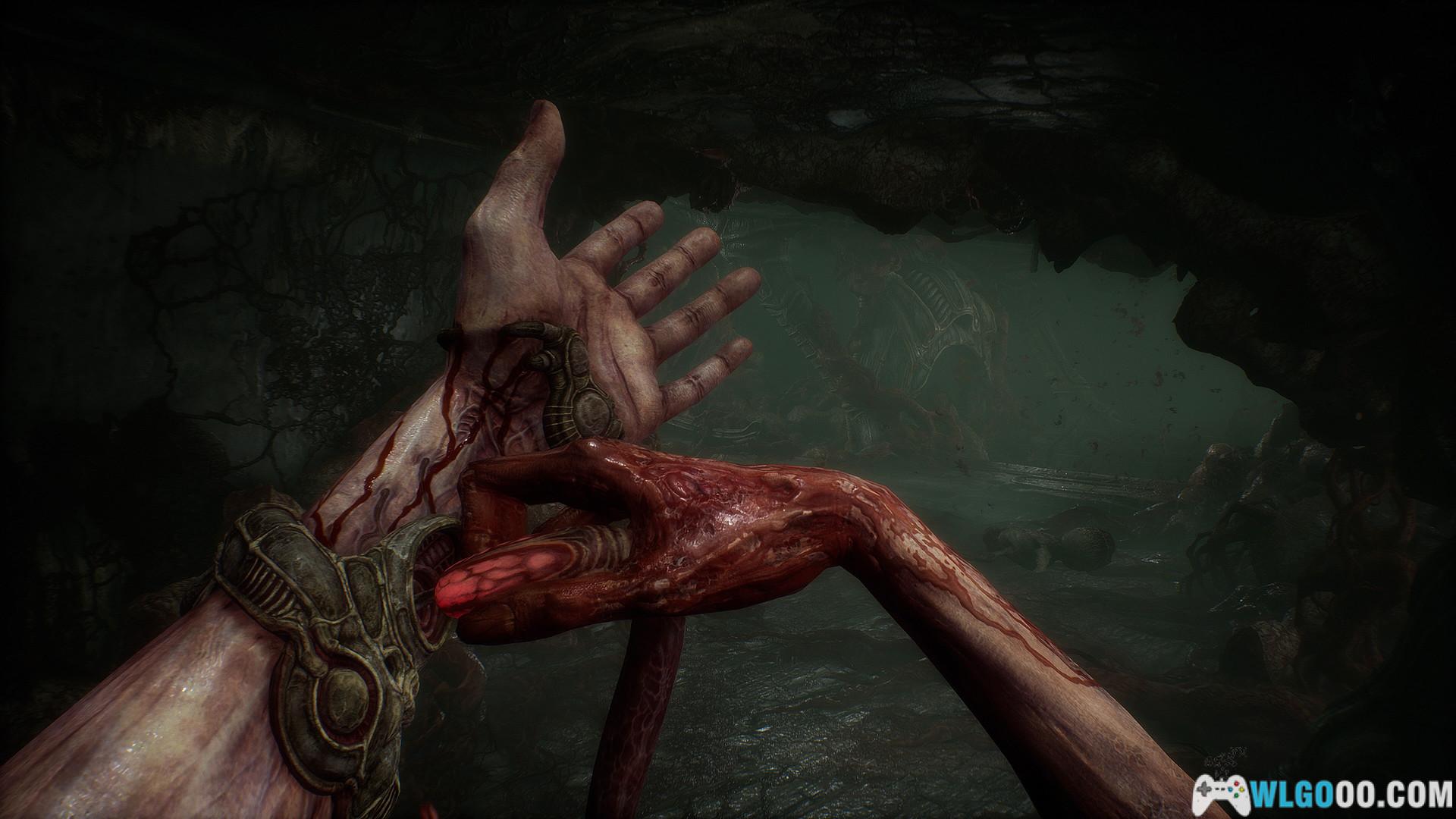 PC蔑视Scorn|原声OST+艺术集,诡异的恐怖游戏-图片6