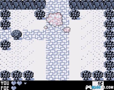 GB钟为蛙鸣[汉化1.0]｜图文攻略+CIA格式-2025.1.20发布-图片42