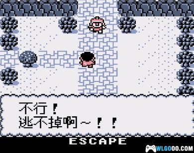 GB钟为蛙鸣[汉化1.0]｜图文攻略+CIA格式-2025.1.20发布-图片43