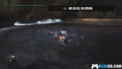 PS2古墓丽影：传奇[菜单纹理汉化]-2025.1.1发布-图片6