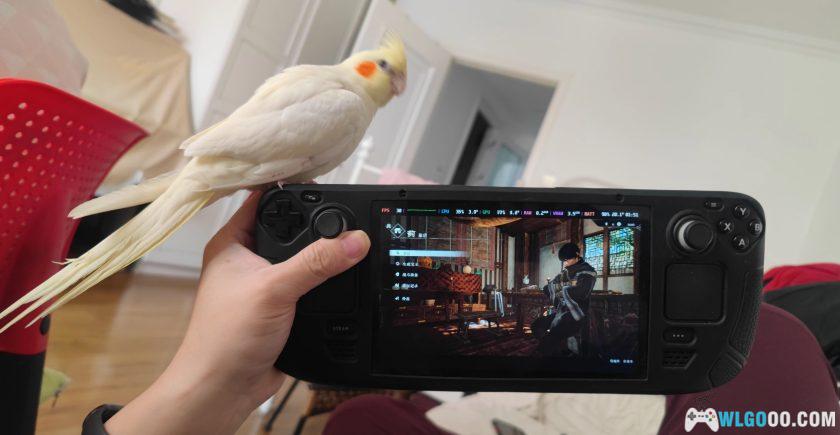 这几天玩无双起源挺上瘾的-图片2